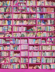 Colorful Pink Bookshelves