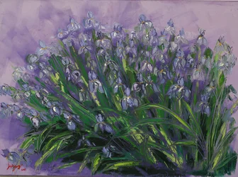 Lush Purple Irises