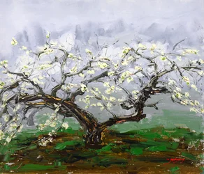 Spring Blossom Tree