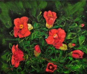Vibrant Red Flowers