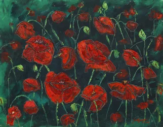 Wild Red Poppies