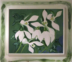 Snowdrops in Ivy