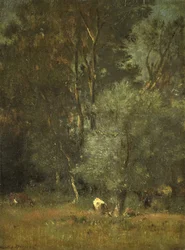View in the Woods