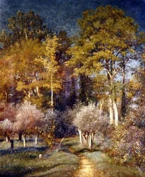 In a Corner of the Forest