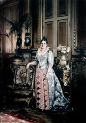 Portrait of Mrs. Carnot Wearing Worth Dress