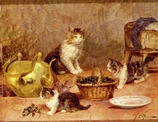 Kittens