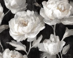 White Peonies On Black