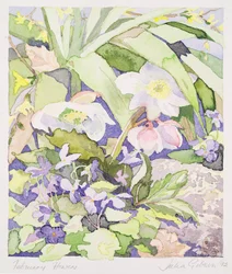 February Flowers