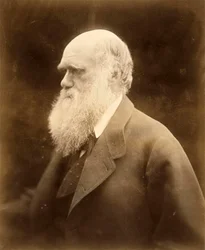 Portrait of Charles Darwin