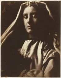 The Neapolitan