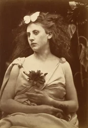 The Sunflower
