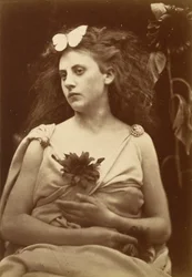 The Sunflower, early 1870s
