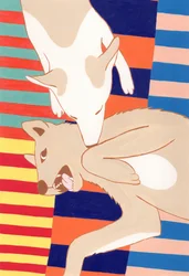 Playful Dog Affection