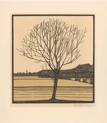 Bare Tree