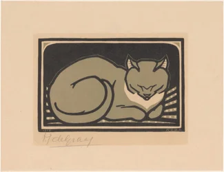 Sleeping Cat