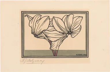 Cyclamen
