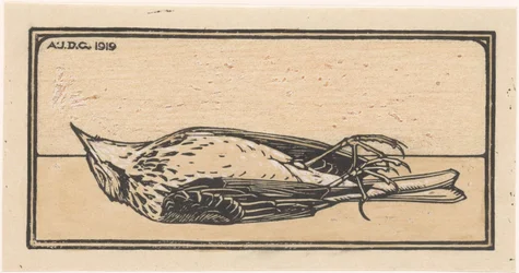 Dead bird