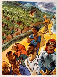 French Vineyard