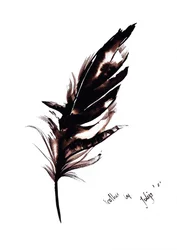 Elegant Feather Study