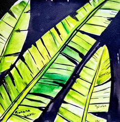Vibrant Banana Leaves