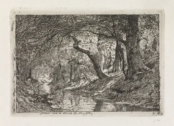 Forest Landscape with Stream and Trees on the Bank