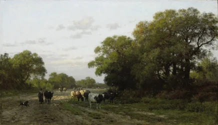 Landscape in Drenthe