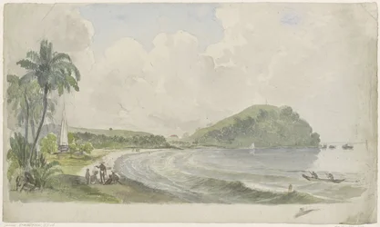 Tropical Coastal Landscape