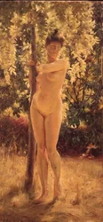 Female Nude Under a Shady Tree