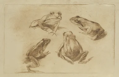 Frogs