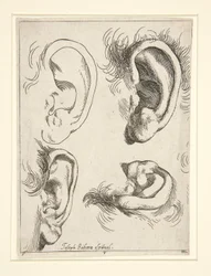 Studies of Four Ears