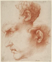 Studies of Male Head in Profile