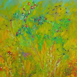 Colorful Wildflower Field