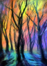 Enchanted Forest Lights