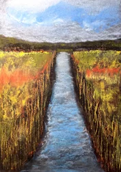 Golden Field Path