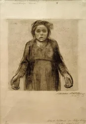 The Widow