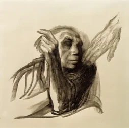 Käthe Kollwitz, Call of Death