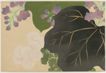 Flowers of a Hundred Worlds: Chrysanthemum and Paulownia