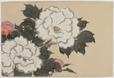Flowers of a Hundred Worlds (Momoyogusa): Peonies