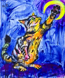 Playful Cat Moon