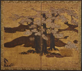Blossoming cherry trees, Edo period
