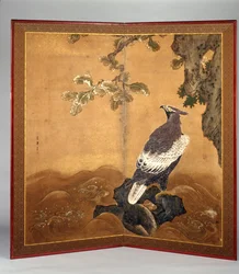 Hawk-Eagle and Oak