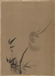 Squirrel on Bamboo, ca. 1650