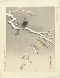 Three Birds on Snowy Branch (Flower and Bird Sketches by Kano Tsunenobu)