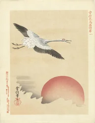 Crane Flying by Red Moon