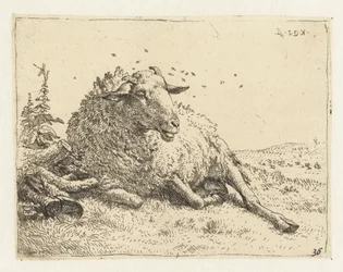 Sheep by a Tree Trunk