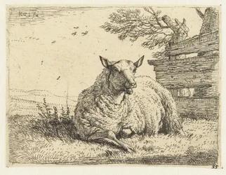 Sheep by a Fence