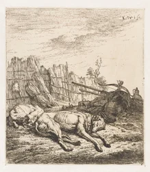 Sleeping hunting dogs (series title: Animals)