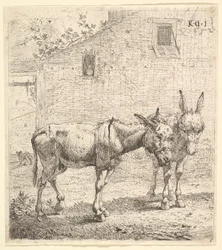 Two donkeys standing in a grassy yard, one in profile view facing right and another behind