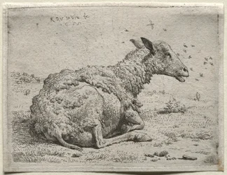The Sheep and the Flies