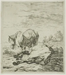 Two Horses